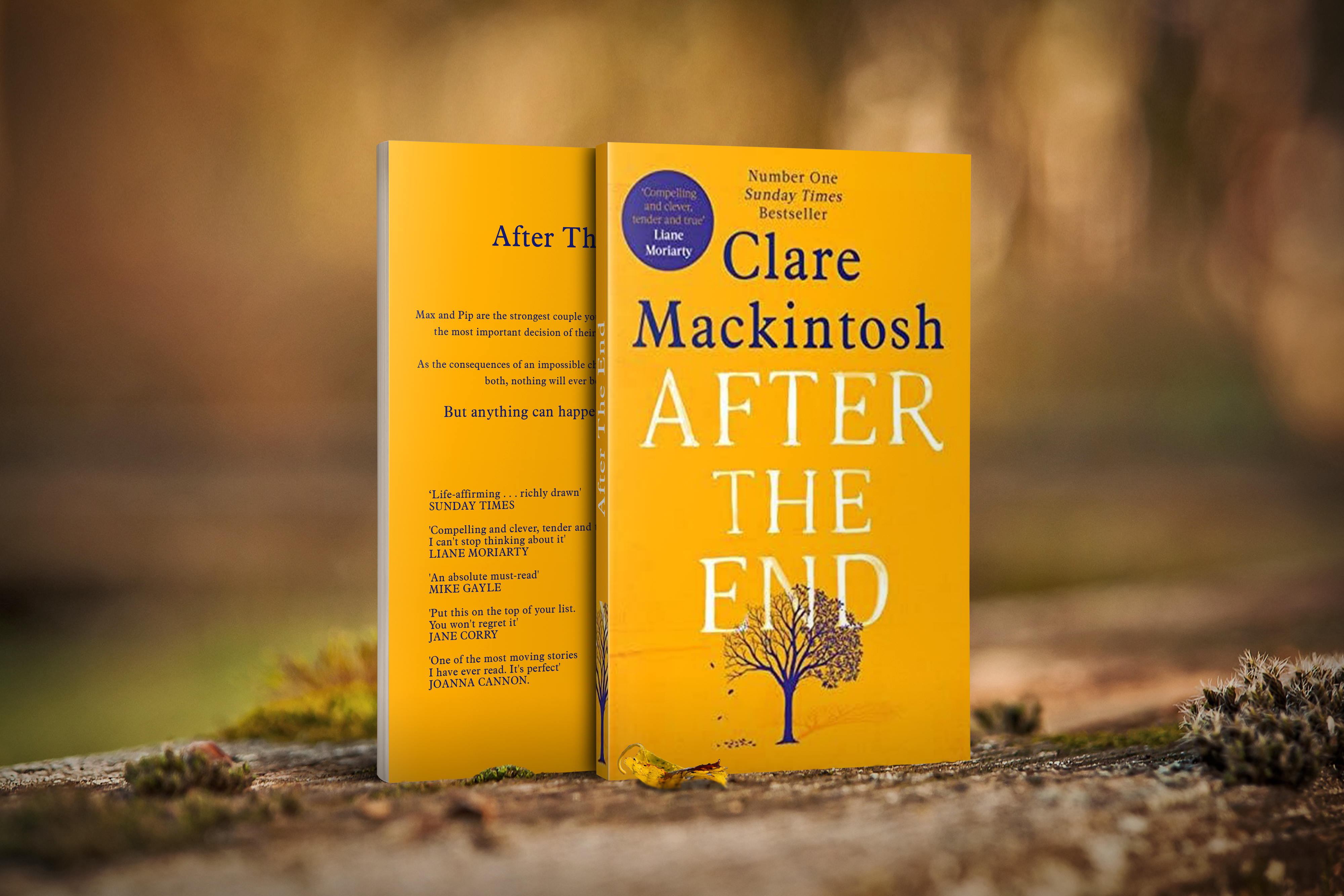 After the end review